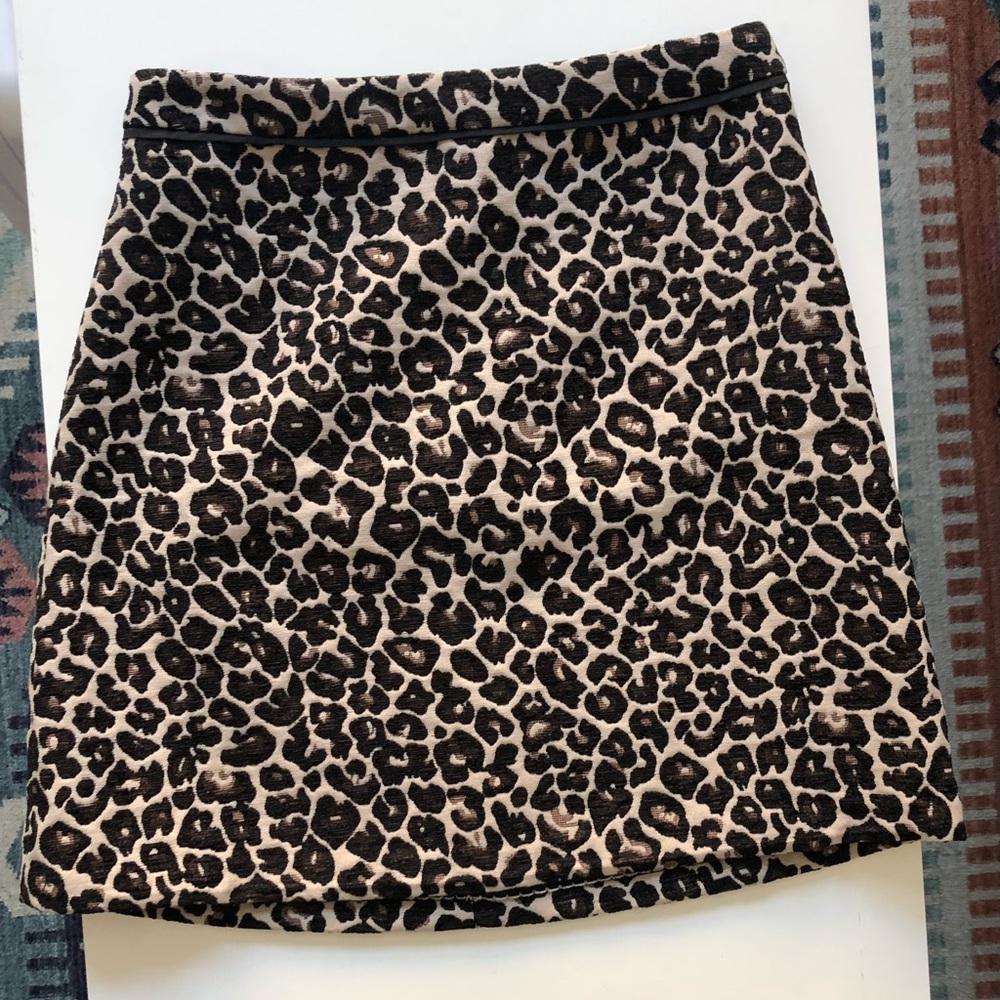 Anthropologie Skirt
